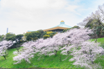 窓越しから都心ならではの武道館や春には桜を見渡せる会場もあります。